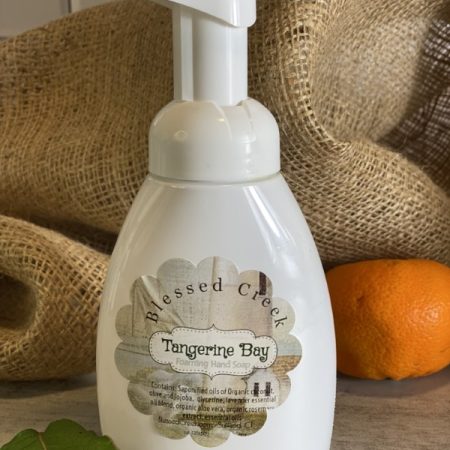 Tangerine Bay Foaming Hand Soap